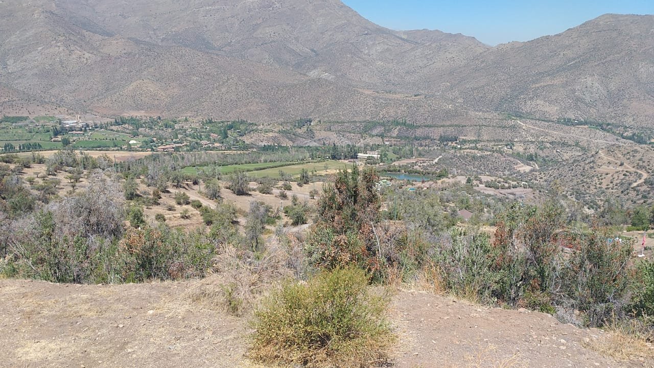 Fundo San Francisco de Los Andes – Se vende parcela sector Los Nogales